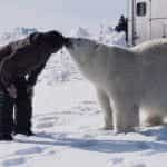 A polar bear and man touch noses.