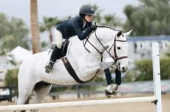 A jockey races their horse over a jump.